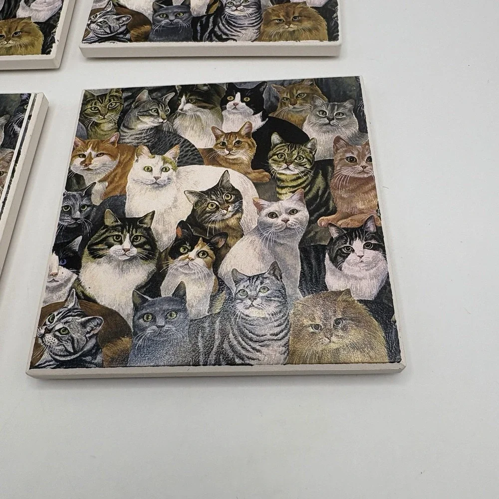 Absorbastone Set Of 4 Coasters Cats Kittens Unused In Box Nice 3in X 3in